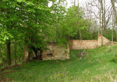 Kmínek Michal, 2020