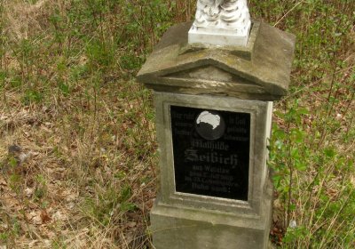 Kmínek Michal, 2020