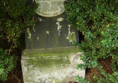 Kmínek Michal, 2020