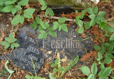 Kmínek Michal, 2020