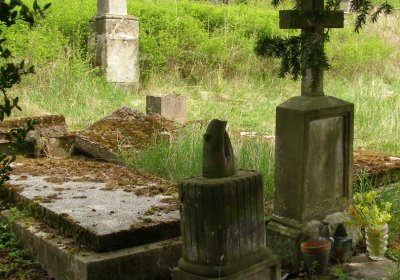 Kmínek Michal, 2020