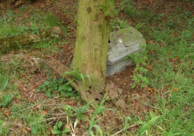 Kmínek Michal, 2020