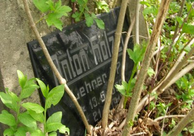 Kmínek Michal, 2020