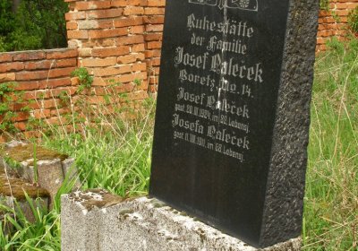 Kmínek Michal, 2020