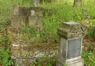 Kmínek Michal, 2020