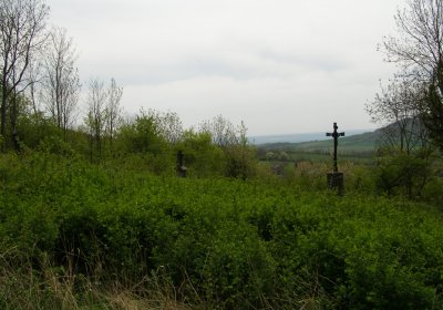 Kmínek Michal, 2020