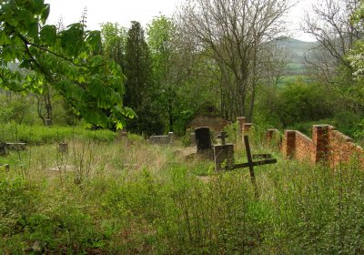 Kmínek Michal, 2020