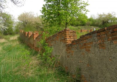 Kmínek Michal, 2020