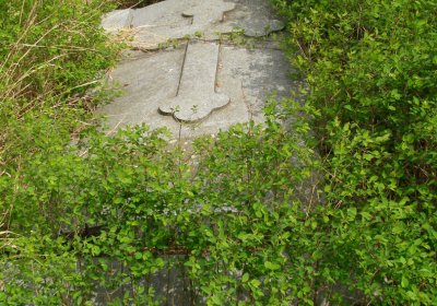 Kmínek Michal, 2020