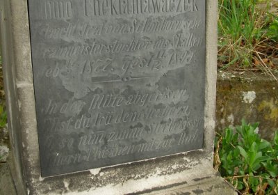 Kmínek Michal, 2020