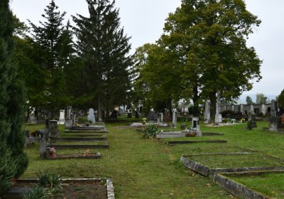 Žitenice, Omnium, 2020