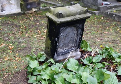 Žitenice, Omnium, 2020