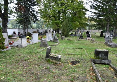 Žitenice, Omnium, 2020