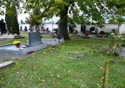 Žitenice, Omnium, 2020