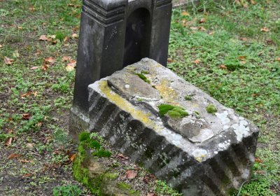 Žitenice, Omnium, 2020