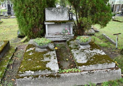 Žitenice, Omnium, 2020