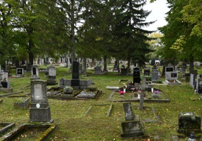 Žitenice, Omnium, 2020