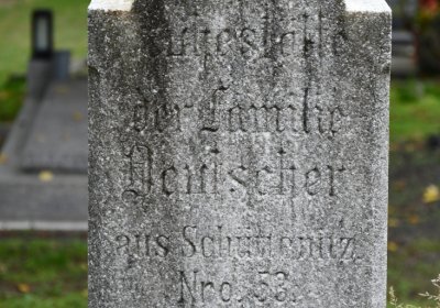 Žitenice, Omnium, 2020