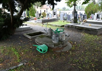 Žitenice, Omnium, 2020