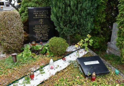 Žitenice, Omnium, 2020