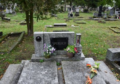 Žitenice, Omnium, 2020