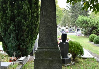 Žitenice, Omnium, 2020