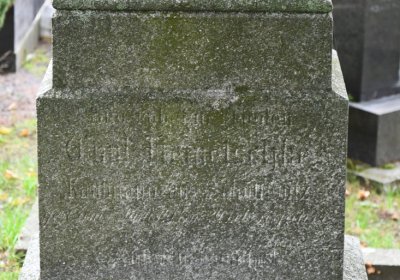 Žitenice, Omnium, 2020