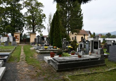 Žitenice, Omnium, 2020