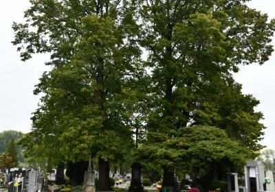 Žitenice, Omnium, 2020