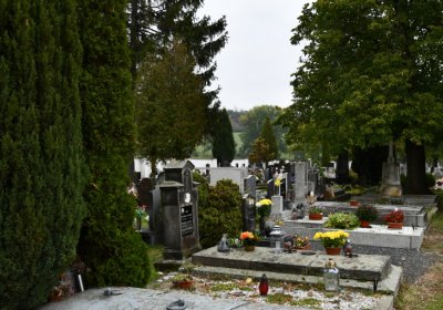 Žitenice, Omnium, 2020