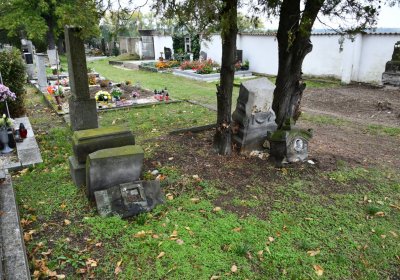 Žitenice, Omnium, 2020