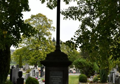 Žitenice, Omnium, 2020