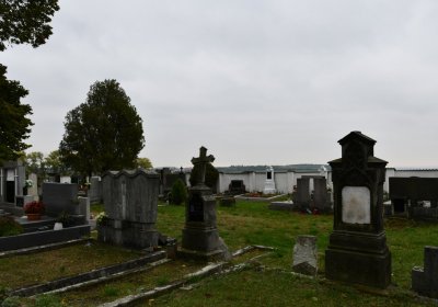 Žitenice, Omnium, 2020