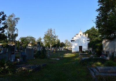 Dobroměřice obecní, Omnium, 2020