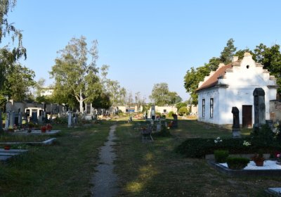 Dobroměřice obecní, Omnium, 2020