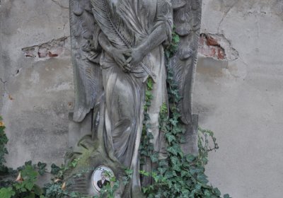 Dobroměřice obecní, Omnium, 2020