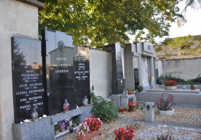 Dobroměřice obecní, Omnium, 2020