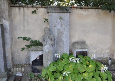 Dobroměřice obecní, Omnium, 2020