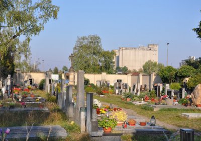 Dobroměřice obecní, Omnium, 2020