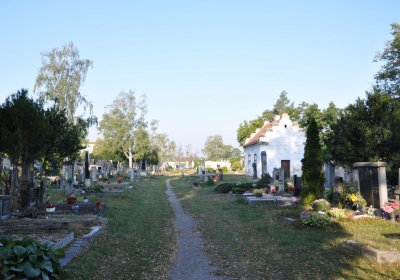 Dobroměřice obecní, Omnium, 2020