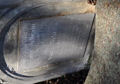 Holedeč, Omnium, 2020