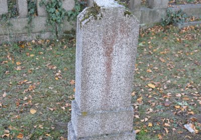 Holedeč, Omnium, 2020