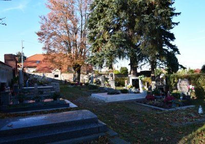 Holedeč, Omnium, 2020