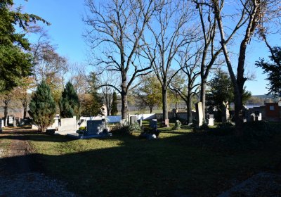 Holedeč, Omnium, 2020