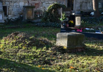 Holedeč, Omnium, 2020