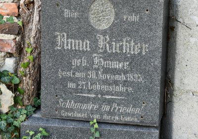 Holedeč, Omnium, 2020