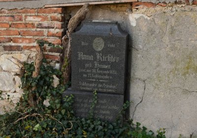 Holedeč, Omnium, 2020