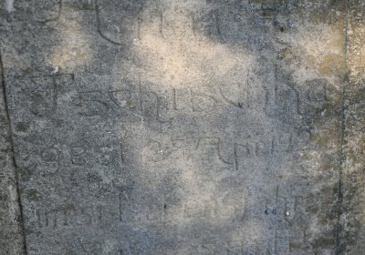 Holedeč, Omnium, 2020