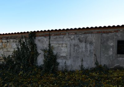 Holedeč, Omnium, 2020