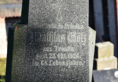 Holedeč, Omnium, 2020